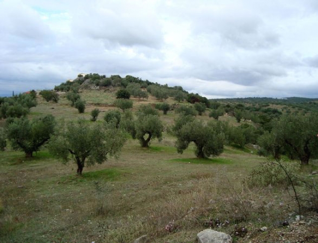 Unser Angebot nahe der Stadt Nafplion/Peloponnes7Greichenland