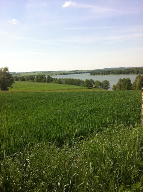 MAZUREN - LAND malerisch gelegen am BLANKI SEE - 5,79ha