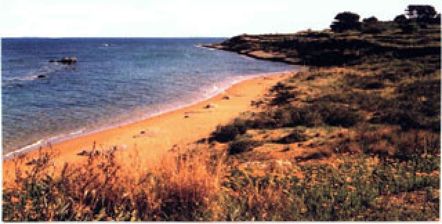 Grundstück auf Kefalonia/Griechenland