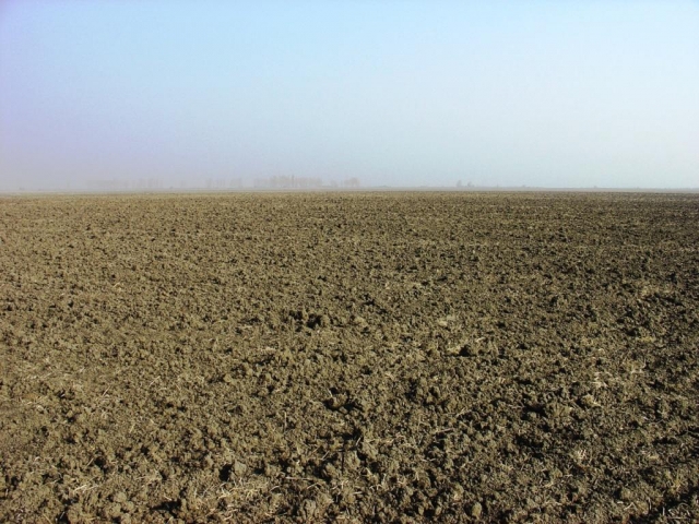 Ackerland in Westungarn zu verpachten (312 ha)