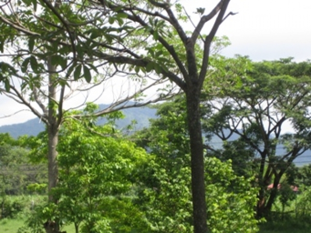 Beteiligung geboten an Urlaubs-Anlage in Nord-Thailand, inkl. Luxus-Anwesen mit 