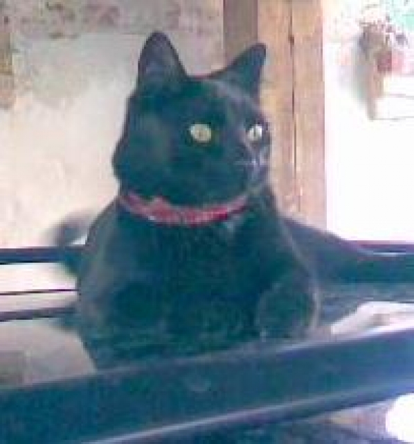 Ergolgreiches Immobilienbüro sucht Bestandsimmobilien/ Neubauprojekte