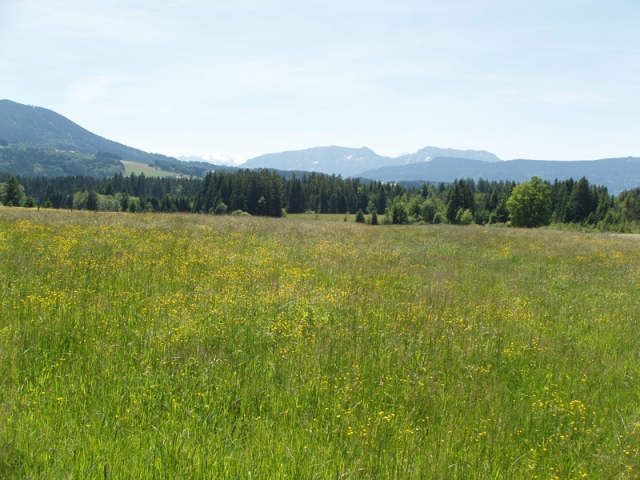 Pferdehof Alleinlage Südbayern zu verkaufen
