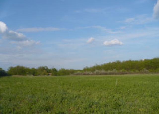 7,4 Hektare Bauernhof mit Wald in Ungarn