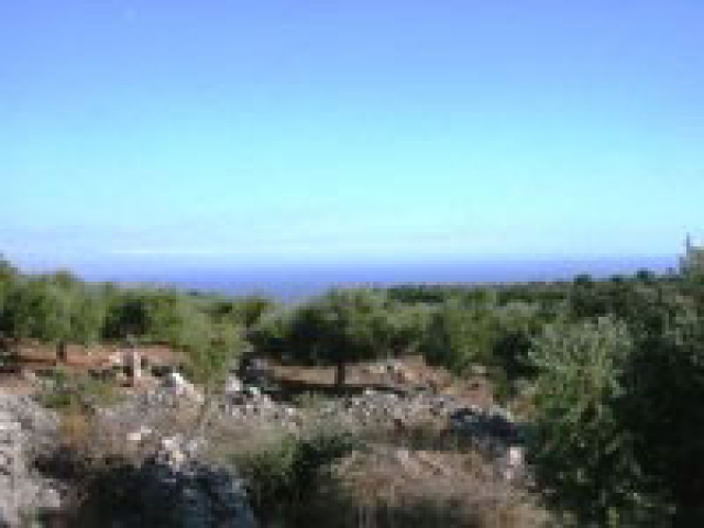 Unser Angebot nahe der Stadt Kalamata/Peloponnes/Griechenland
