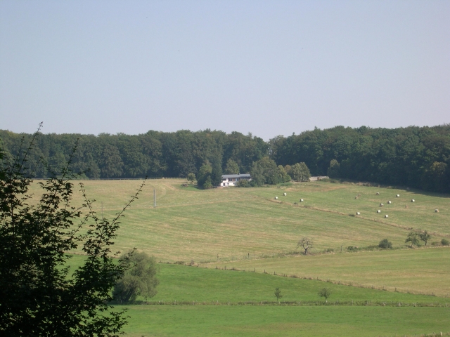 Leben mit Pferden im Taunus