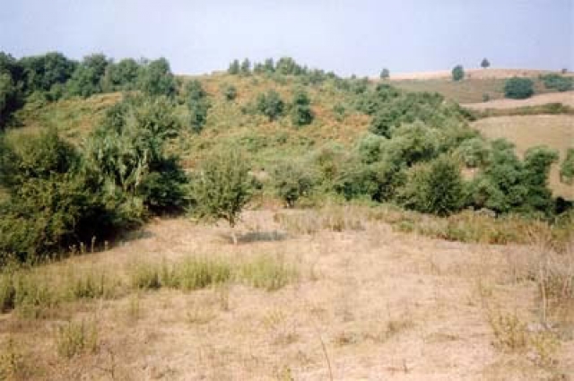 Baugrundstueck nahe Preveza´/Griechenland