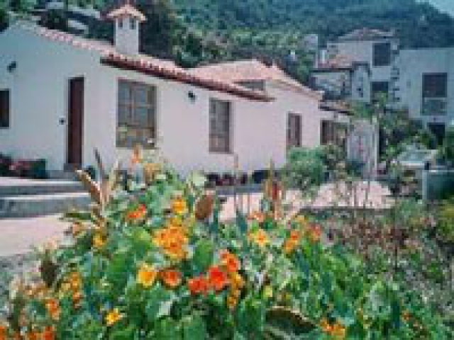 Finca Futuro in Icod de los Vinos im Nordwesten von Teneriffas