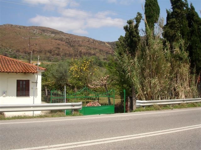 Gewerbegrundstück am Stadtrand von Nafpaktos / Griechenland