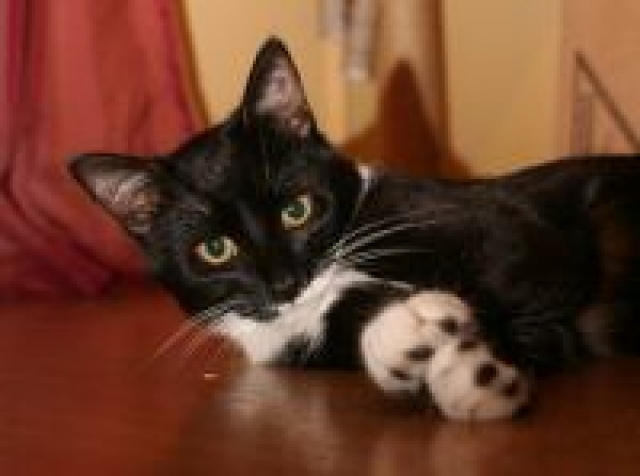 Suchen in jena eine 2-3 raumwohnung