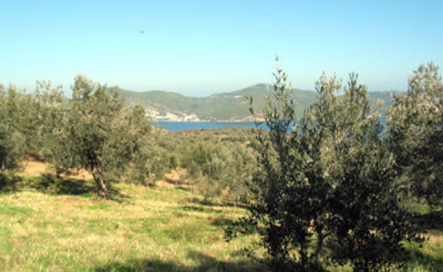 Grundstueck mit Meeresblick nahe Galatas/Griechenland