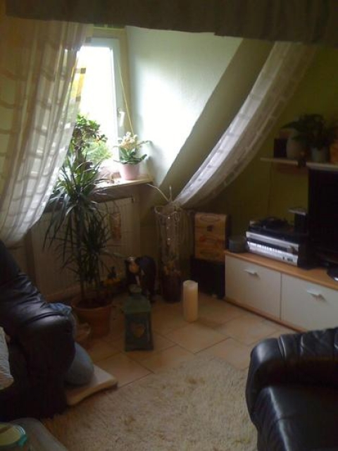 Gemütliche DG Wohnung in Duisburg-Bissingheim nahe Blauem See, 44m  -provisions