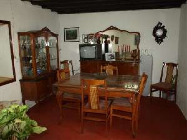 Finca Martin in Arafo im Südosten von Teneriffa 