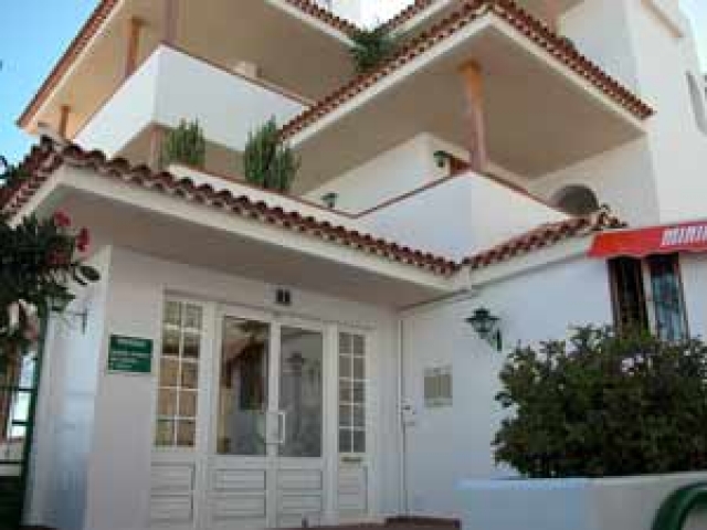 Apartment Cactus in Los Cristianos im Süden von Teneriffa