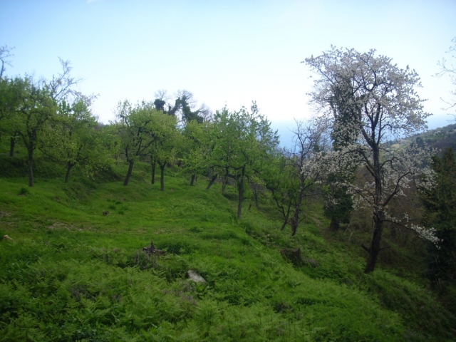KISSOS, PILION, GRIECHENLAND, Natur und Tradition laden Sie ein 