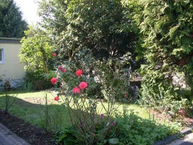 Helle sanierte 2-Zimmerwohnung mit eigenem Garten!