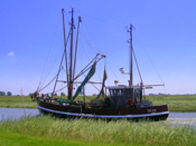 Den Blanken Hans erleben - Sturmwochen an der Südlichen Nordsee!