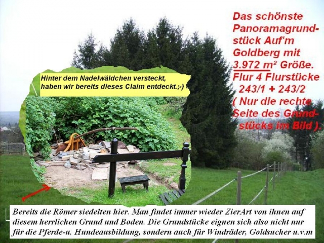 Wertvolle Land - Auf m Goldberg - in Schmelz-Bettingen (Saarland)