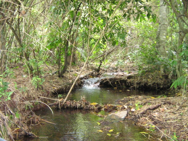37.000,00 qm Land in Puerto Suarez, Bolivien,