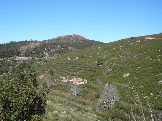 Algarve berg-paradies