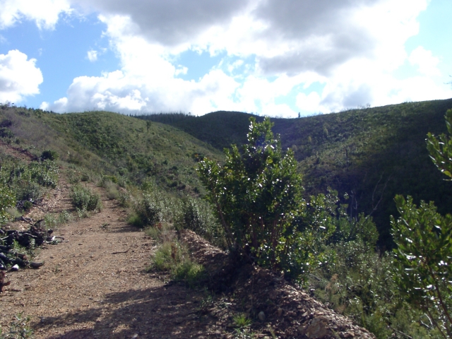 11 ha Monchique Nord