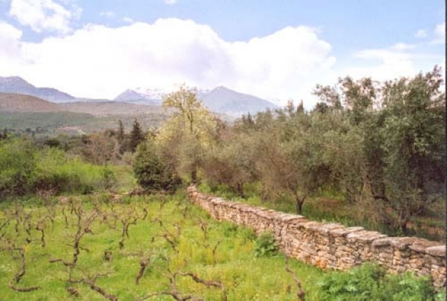 Sehr schoenes Baugrundstueck nahe der Stadt Rethymnon/Griechenland