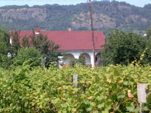 Haus mit Keller und mit Weinberg zu verkaufen!