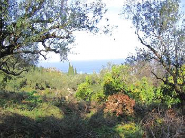 Baugrundstueck auf Zakynthos/Griechenland