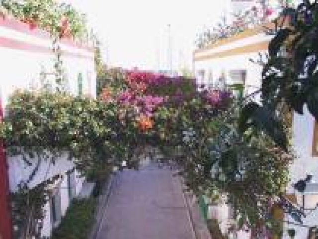 Appartments El Puerto in Puerto de Mogan auf Gran Canaria