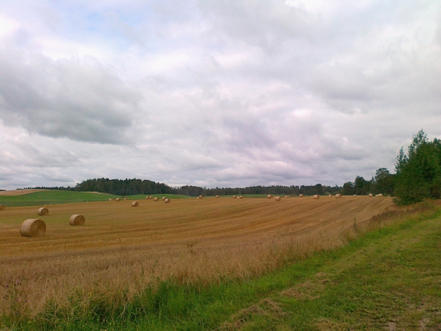 Ackerland in Lettland