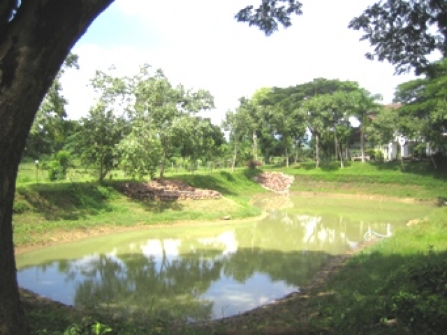 Natur-Urlaubs-Paradies im Norden von Thailand - Erlebnis, Entspannung, Genuss