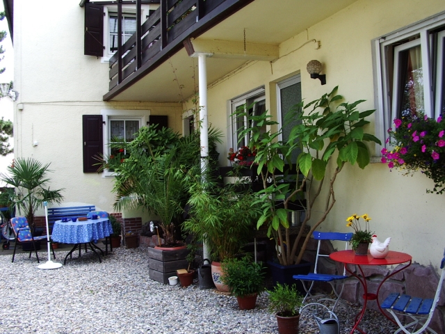 Wohnung zu vermieten