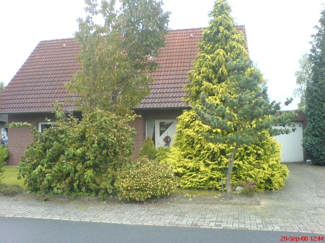 118 qm Einfamilienhaus in Löningen, Bj. 1992, EFH ohne Provision!