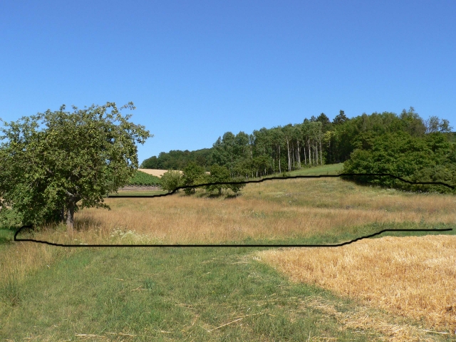 Grün/Ackerland zu verkaufen. Reusch bei Uffenheim