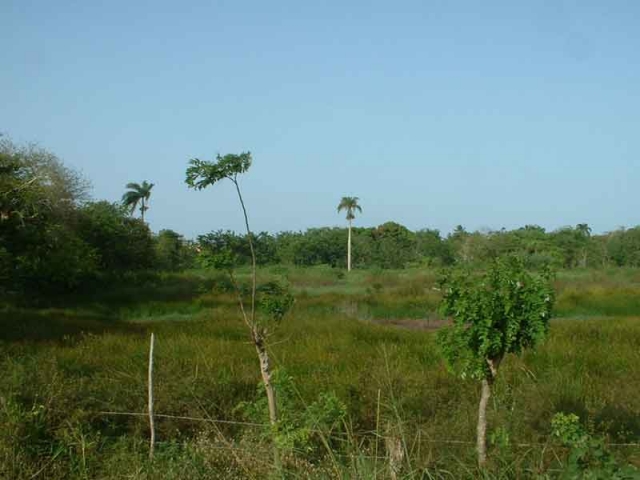 Grundstueck 2550 m² in Strandnaehe nur 3km von Cabarete ( DomRep ) 26,- Euro/m?
