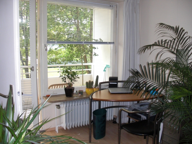 Suche Z W I S C H E N M I E T E R für möbliertes 1-Zi-APPARTEMENT vom 15.10 - 