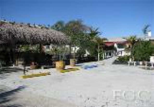 Florida, Fort Myers, ehemalige Gaertnerei mit Einfamilienhaus - grosses Grundstu
