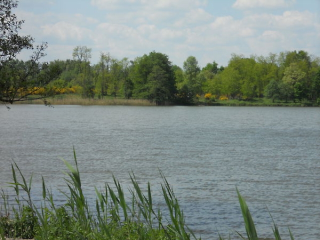 152 ha Gebiet mit Anglersee, Forst und Jagdrecht in Ungarn