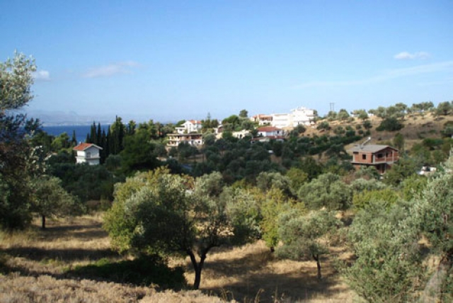 Unser Angebot auf der Insel Evia/Griechenland