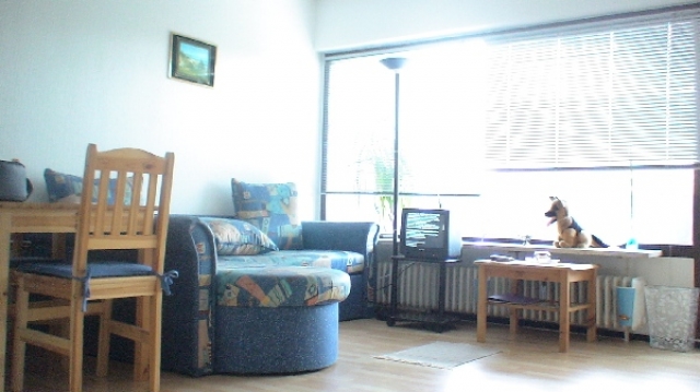 Sehr schöne und helle 1 Zi Wohnung mit Balkon in Germersheim zur Miete