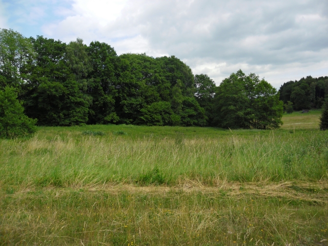 Freizeitgrundstück / Grünland / Landwirtschaft ca. 1 ha   PACHTFREI !!!   5763
