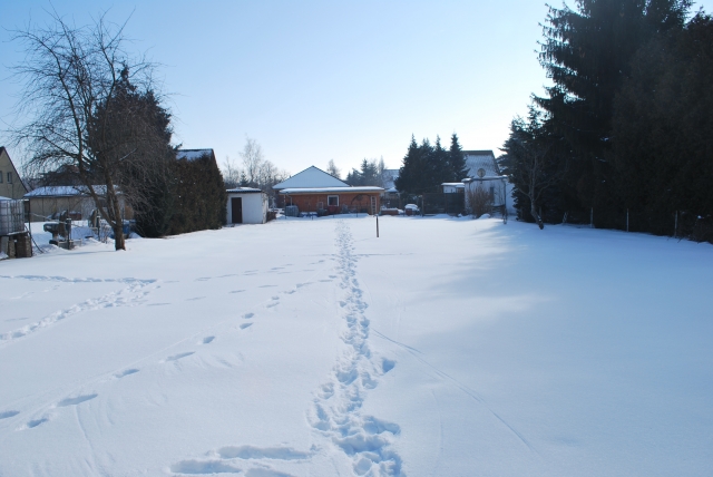 Schönes Baugrundstück in Halberstadt