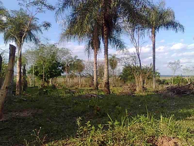 35 ha in Yataity - Paraguay