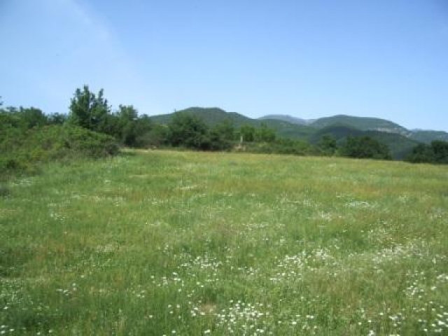 Idyllisches grundstueck in der naehe des flusses Nestos Drama Griechenland