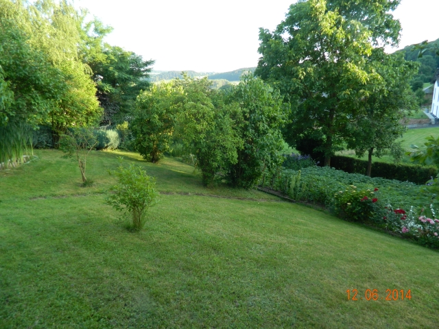 Toller Bauplatz mit Fernsicht