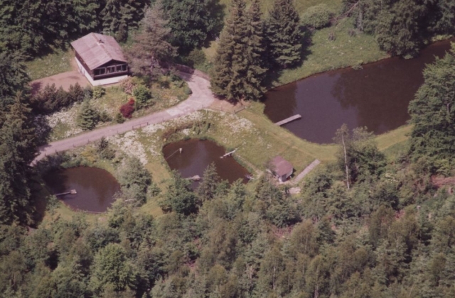 Freizeitobjekt im Wald mit Fischteichen - Domizil für Jäger, Angler, Künstler