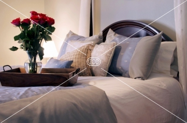 Hostessenwohnung in Raum Essen,Mülheim,Oberhausen gesucht !