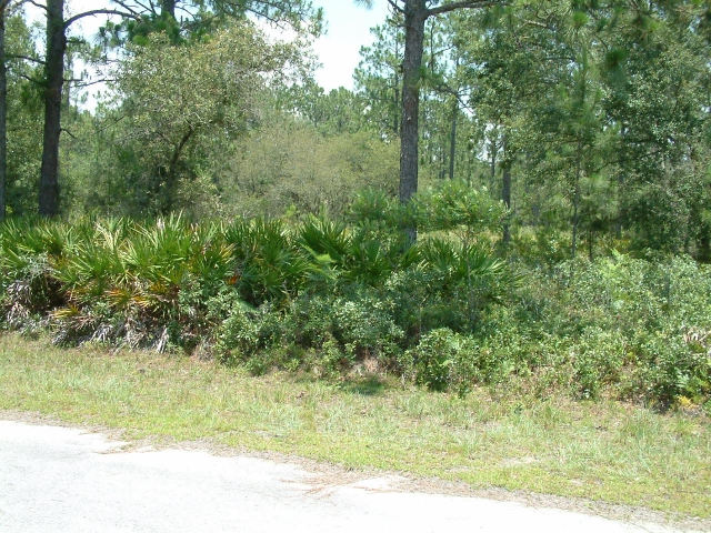Florida - 5 Grundstücke zu verkaufen im sonnigen Süden der USA