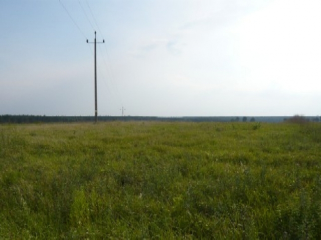 Baugrundstücke in ruhiger Lage in Polen