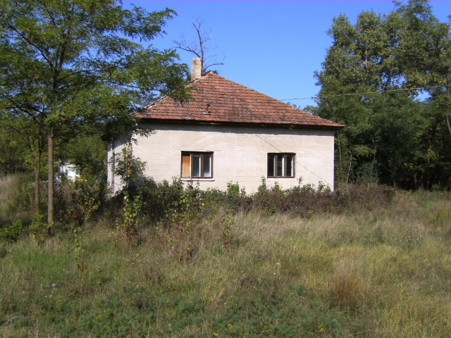 Immobilien in Südungarn